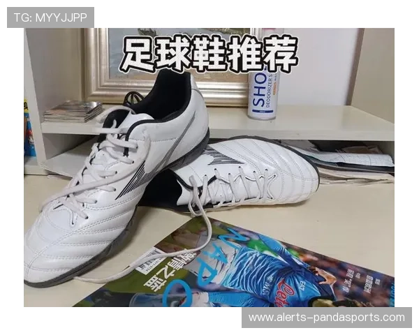 各类足球明星推荐的专属足球鞋品牌及选择技巧分析 各类足球明星推荐的专属足球鞋品牌及选择技巧分析