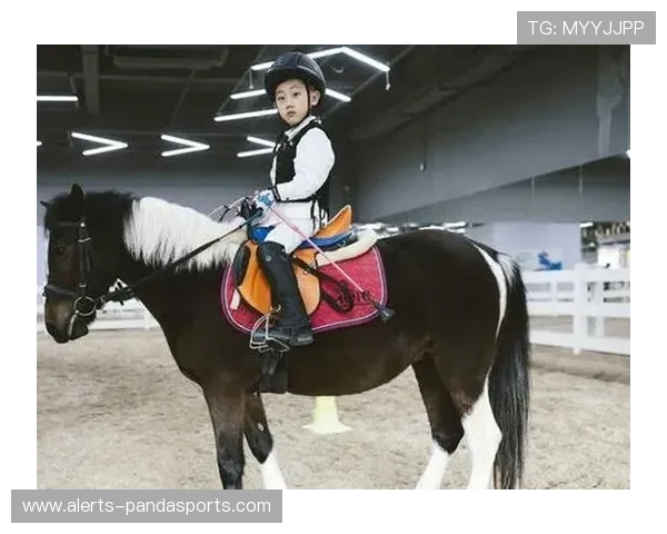 挑战极限记忆力高难度足球明星识别软件解析与体验 挑战极限记忆力高难度足球明星识别软件解析与体验